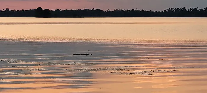 River Junction (COE) Picture 4