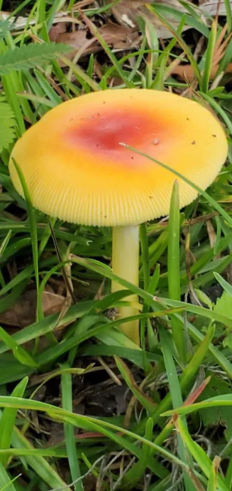 River Junction (COE) Picture 10