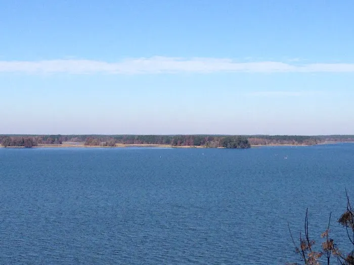 Ya Ya’s Lake Seminole RV Park Picture 7