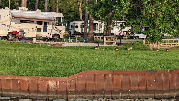 COE Lake Seminole Picture 3