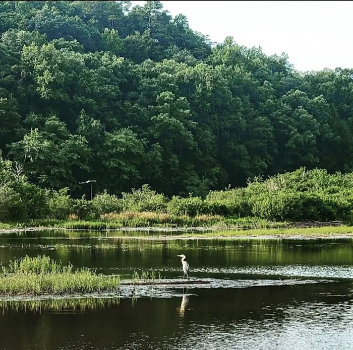 Brushy Lake Recreation Area Picture 3