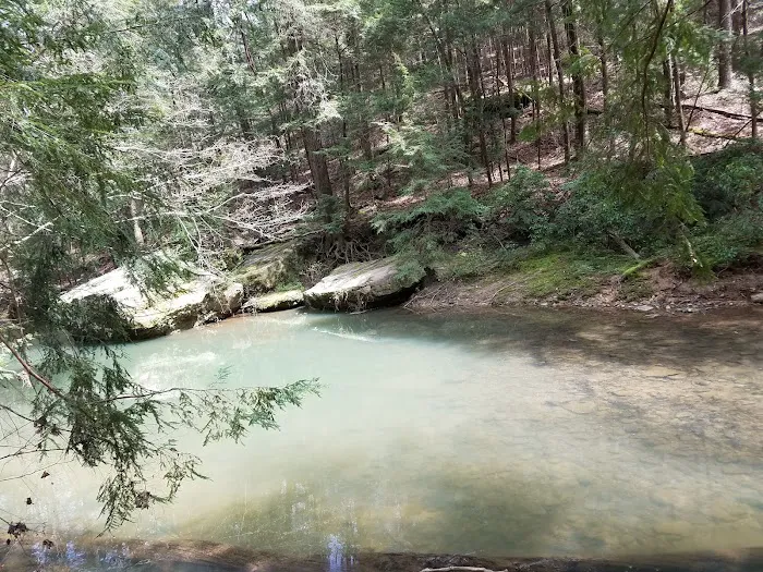 Brushy Lake Recreation Area Picture 2