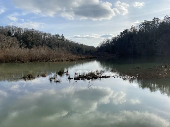 Brushy Lake Recreation Area Picture 4