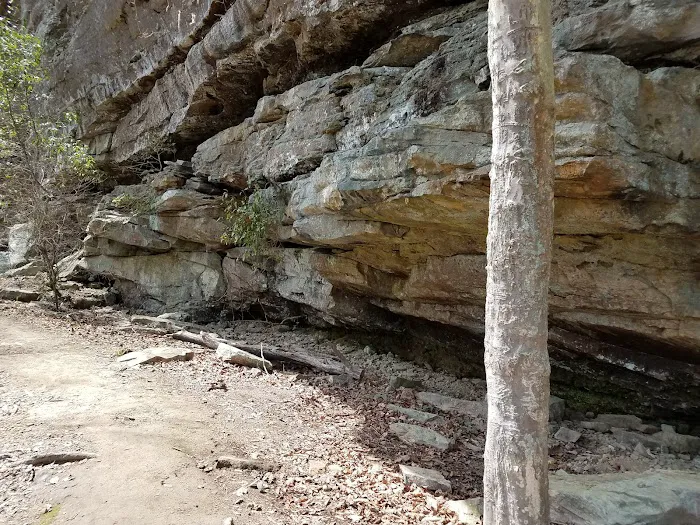 Brushy Lake Recreation Area Picture 1
