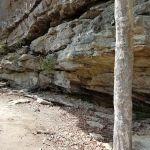 Brushy Lake Recreation Area