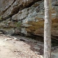 Brushy Lake Recreation Area ico