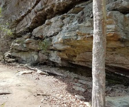 Brushy Lake Recreation Area