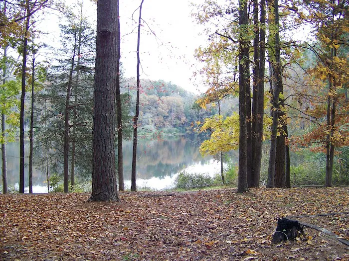 Brushy Lake Recreation Area Picture 10