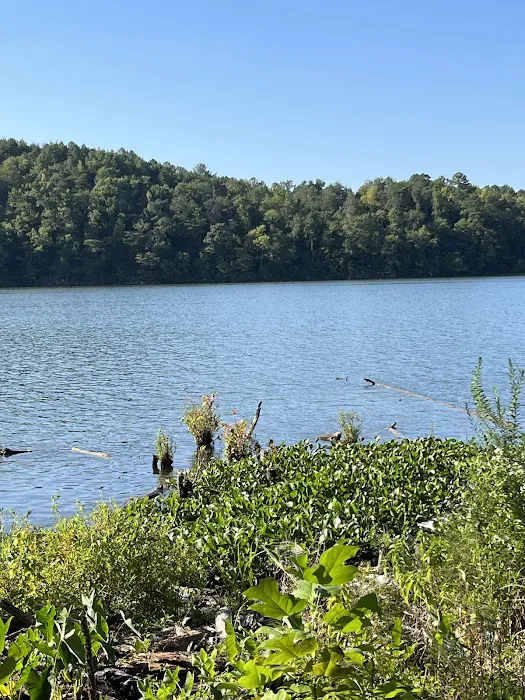 Clevenger's Campground and Boat Launch Picture 1