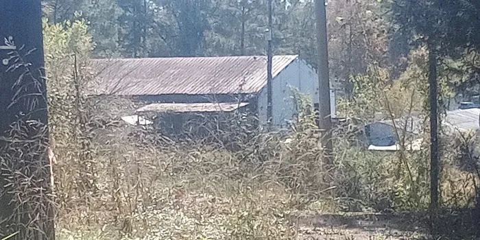 Clevenger's Campground and Boat Launch Picture 5