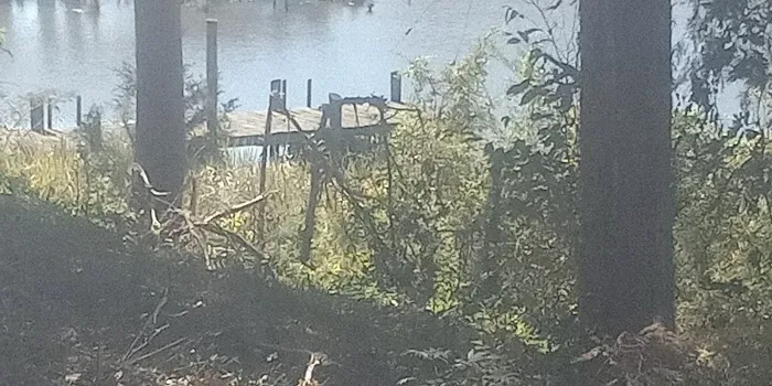 Clevenger's Campground and Boat Launch Picture 10