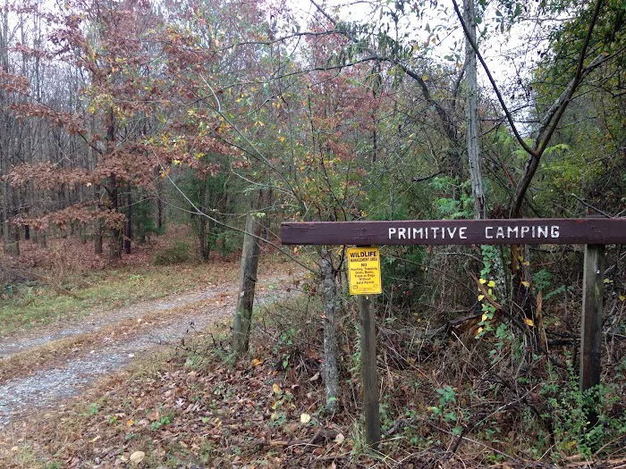 Wildlife Management Area Primitive Camping Picture 1