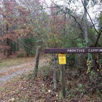 Wildlife Management Area Primitive Camping ico