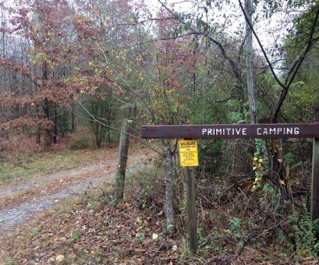 Wildlife Management Area Primitive Camping