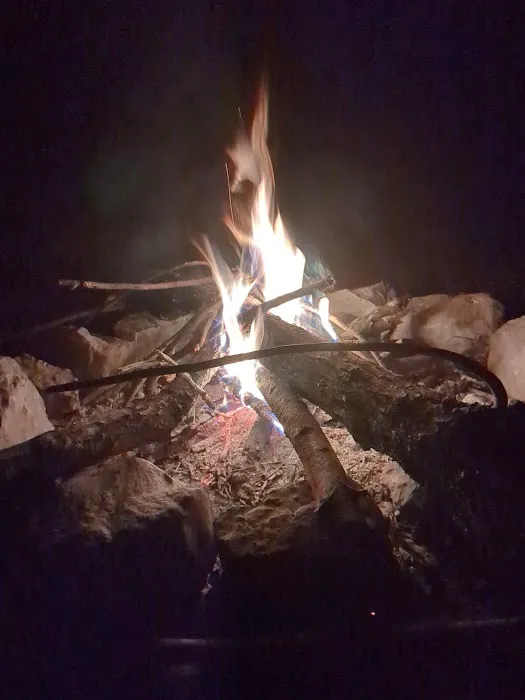 Wildlife Management Area Primitive Camping Picture 2