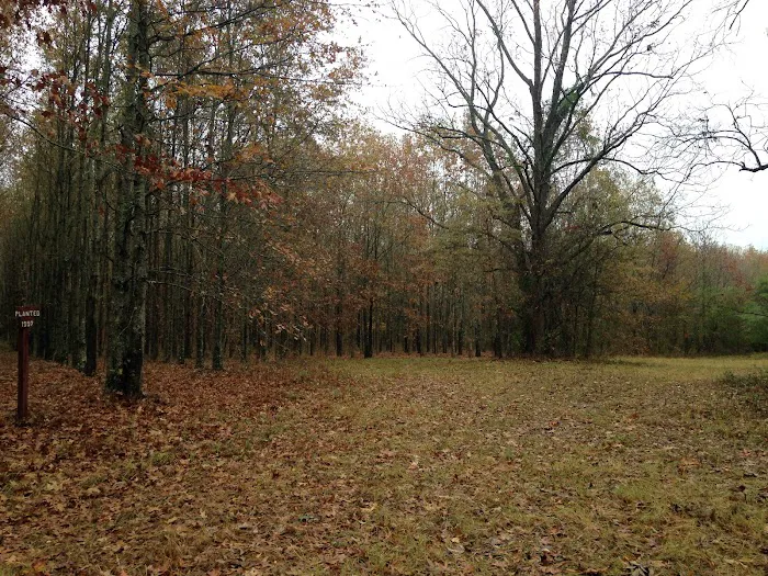 Wildlife Management Area Primitive Camping Picture 3