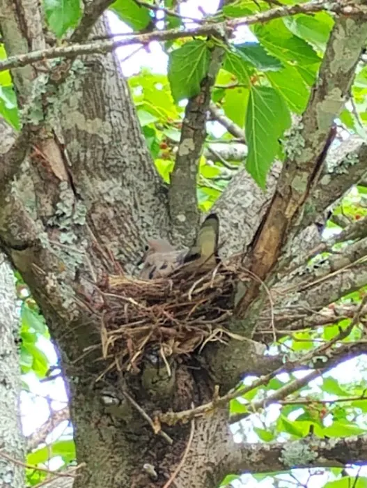 YellowHammer RV Campround Picture 7