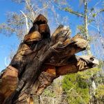 BSA Camp Jack Wright