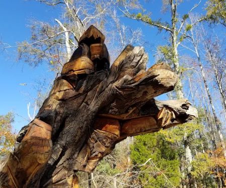 BSA Camp Jack Wright