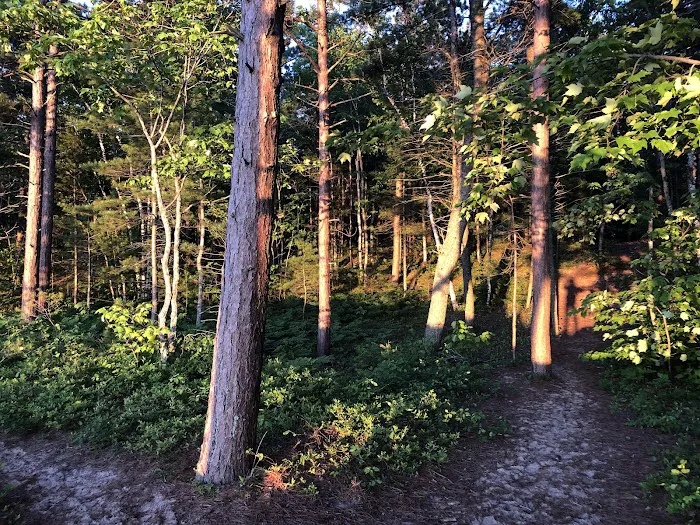 Twelvemile Beach Campground Picture 8