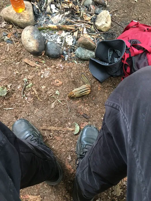 Sevenmile Creek Campground Picture 10