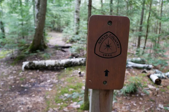 Sevenmile Creek Campground Picture 9