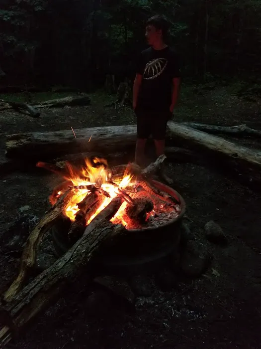 Sevenmile Creek Campground Picture 8