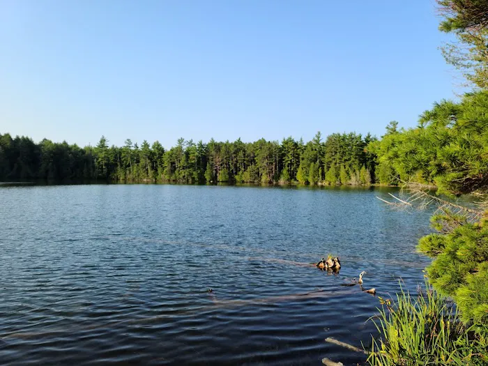 Trapper's Lake Campground Picture 1