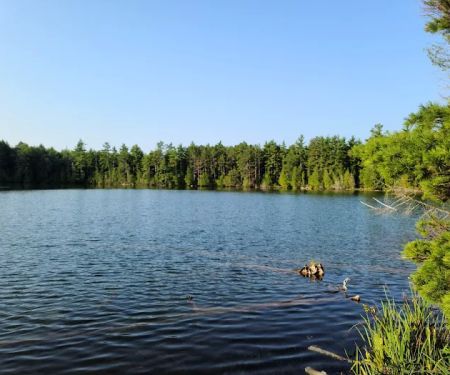 Trapper's Lake Campground