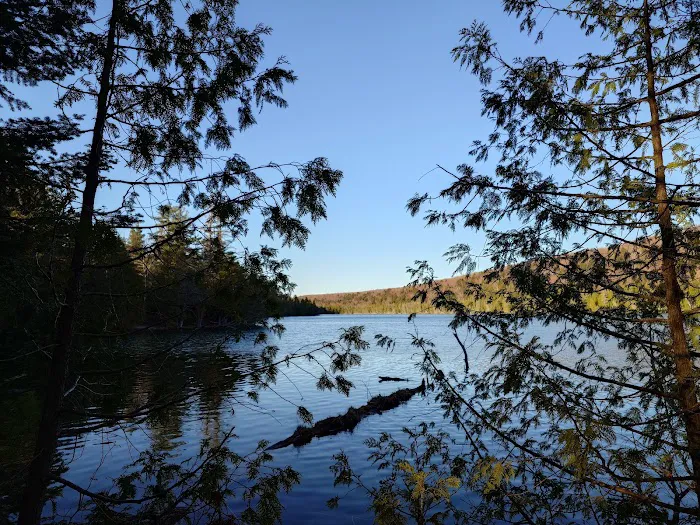 Trapper's Lake Campground Picture 7