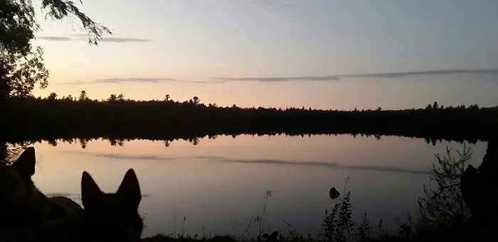 Canoe Lake State Forest Campground Picture 5