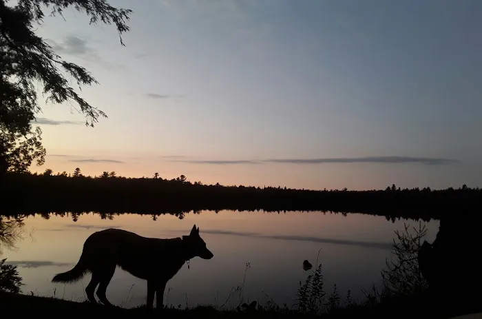 Canoe Lake State Forest Campground Picture 4