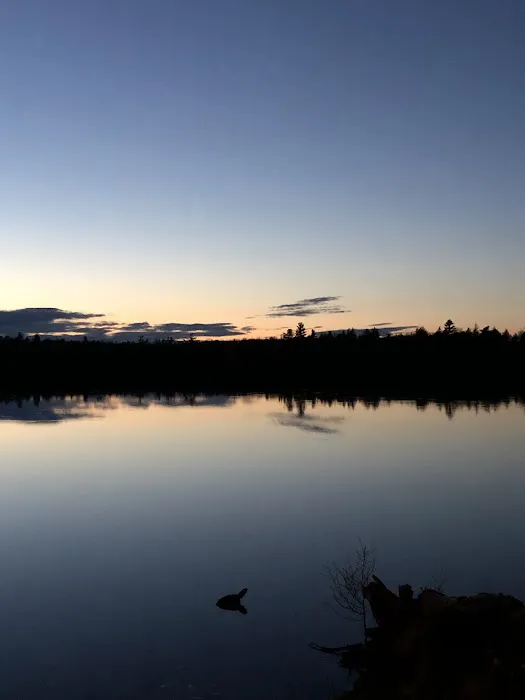 Canoe Lake State Forest Campground Picture 7