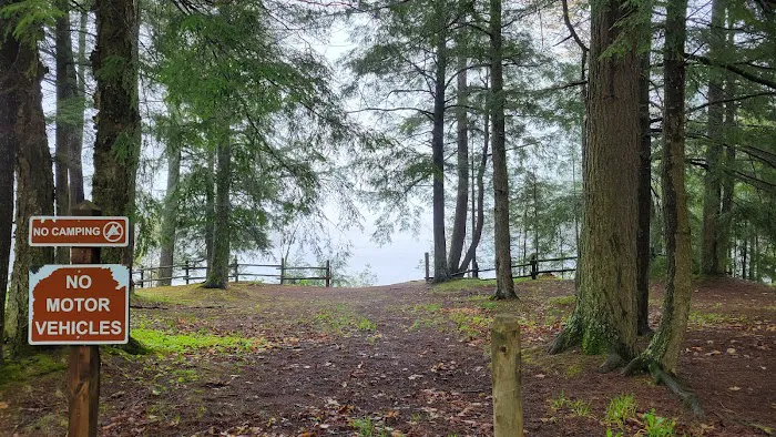 South Gemini Lake State Forest Campground Picture 6