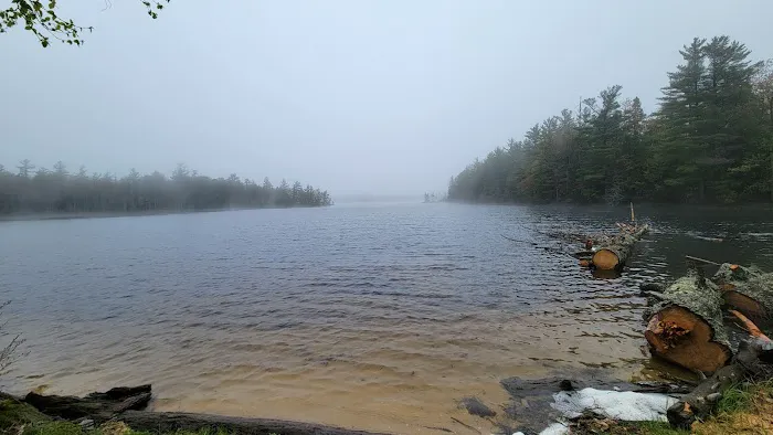 South Gemini Lake State Forest Campground Picture 2
