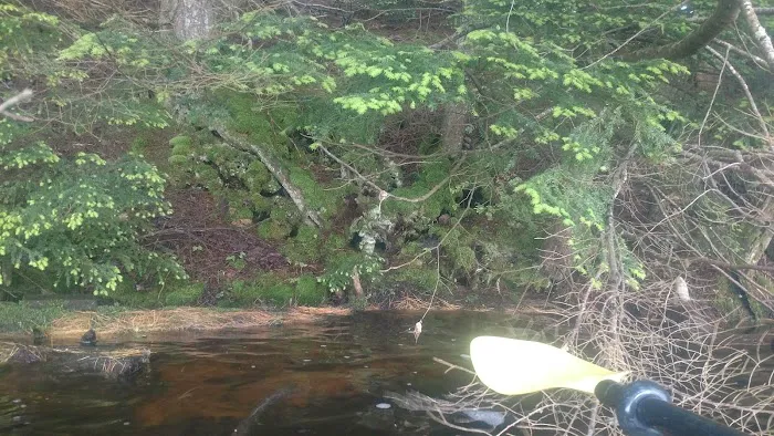 North Gemini Lake State Forest Campground Picture 5