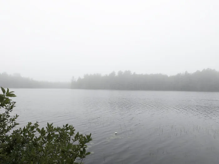 North Gemini Lake State Forest Campground Picture 8