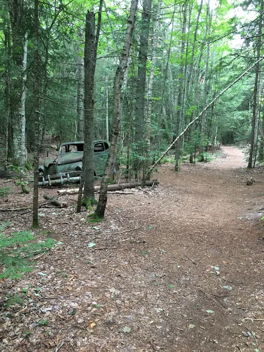 Pine Bluff Campground Picture 5