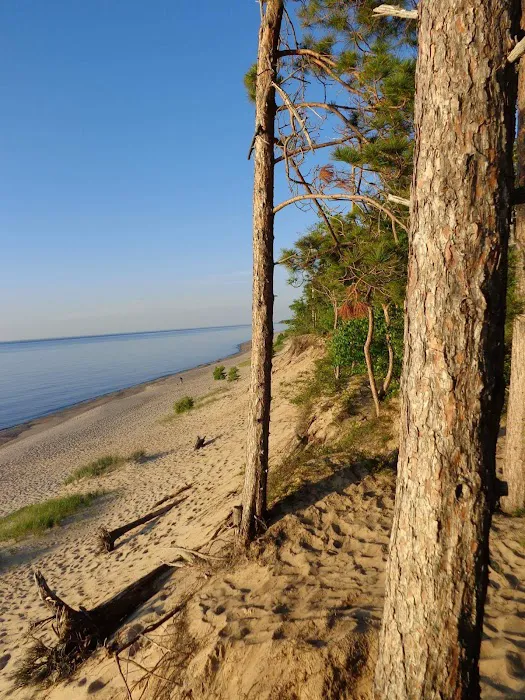 Pine Bluff Campground Picture 2