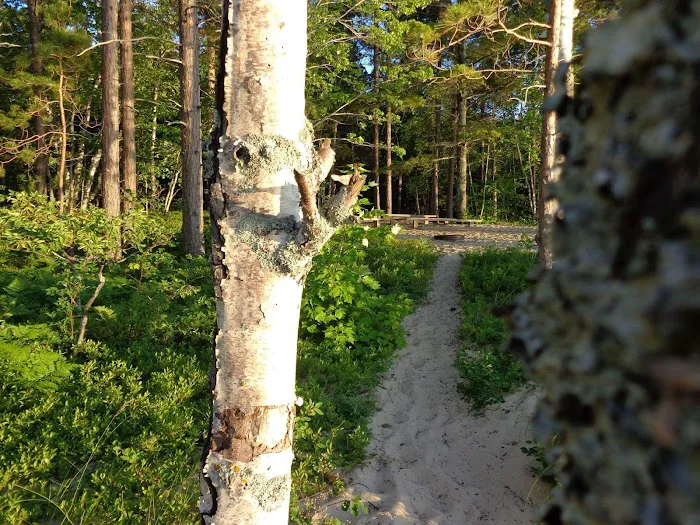 Pine Bluff Campground Picture 1