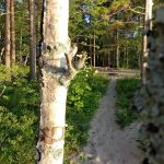 Pine Bluff Campground