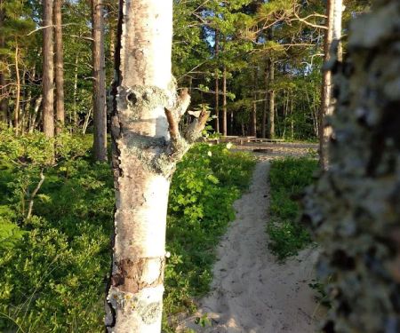 Pine Bluff Campground