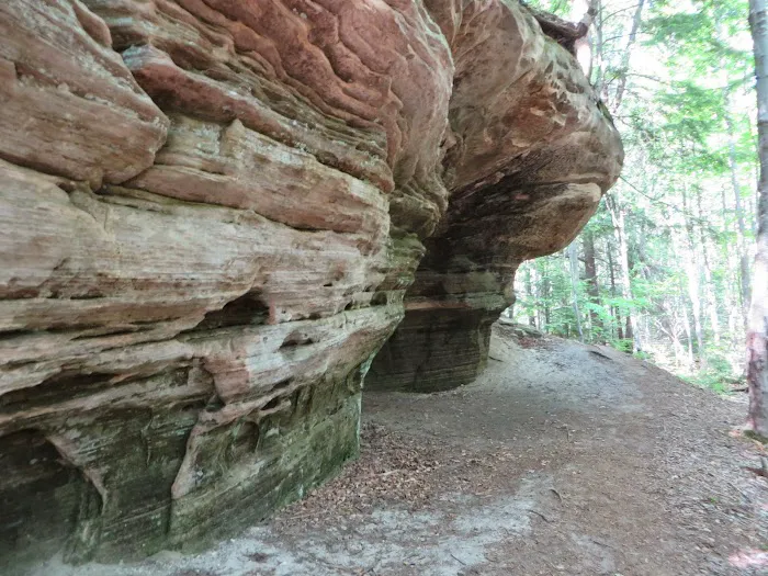 Beaver Creek Campground Picture 6