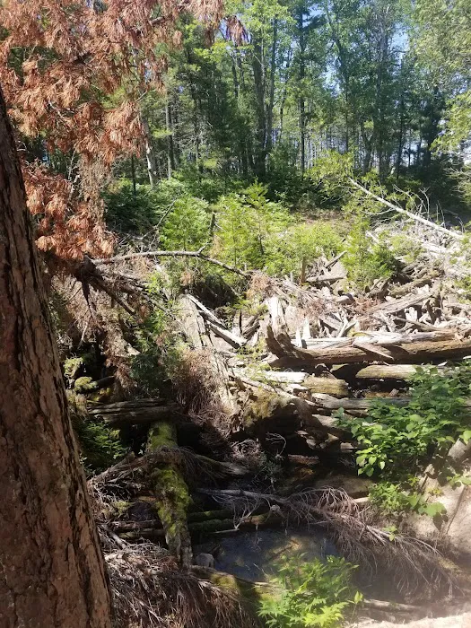 Beaver Creek Campground Picture 9
