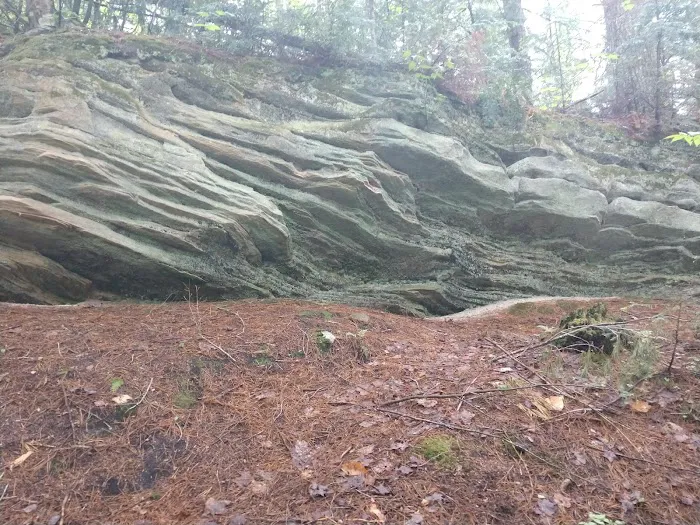 Little Beaver Lake Campground Picture 2