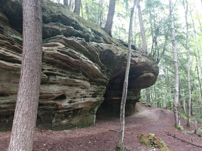 Little Beaver Lake Campground Picture 1