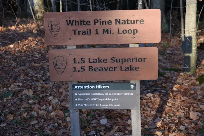 Little Beaver Lake Campground Trailhead Picture 2