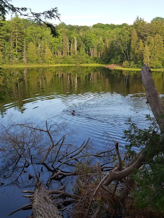 Little Beaver Lake Campground Trailhead Picture 6