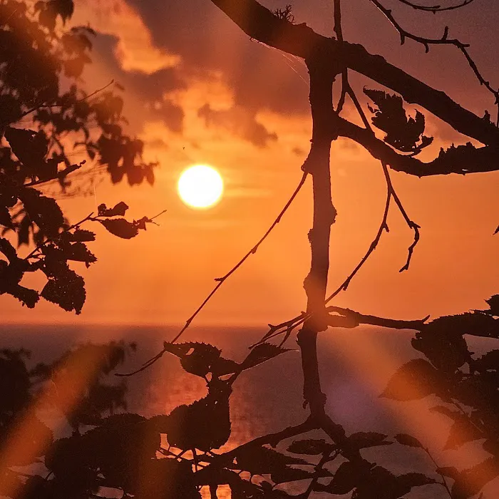 Coves Group Campsite Picture 3