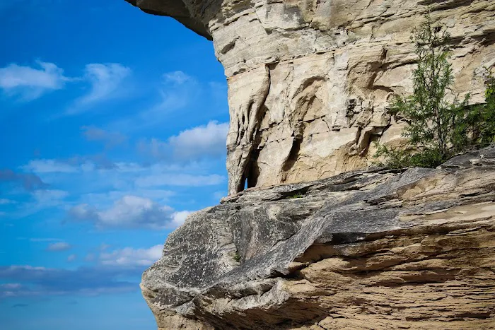 Chapel Beach Campground Picture 3